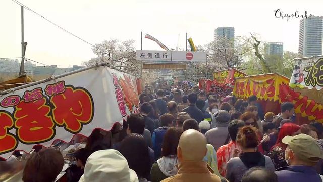 Сакура или Панда Прогулки по Токио с Вероникой Номура ( 2019 ) смотреть онлайн