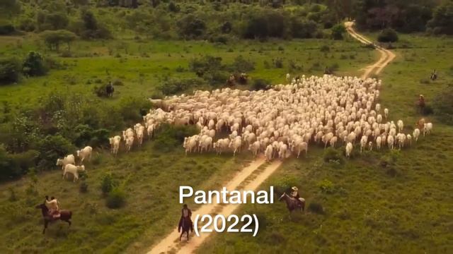 Обзор бразильского сериала Пантанал смотреть онлайн
