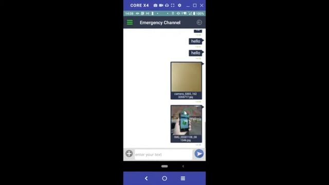 LINX Mobile App Training смотреть онлайн