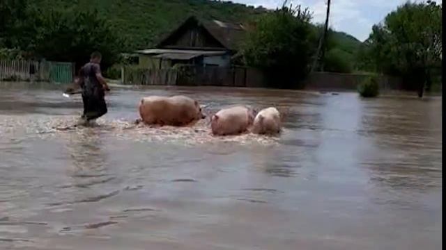 Тайфун Кроса в Октябрьском районе смотреть онлайн