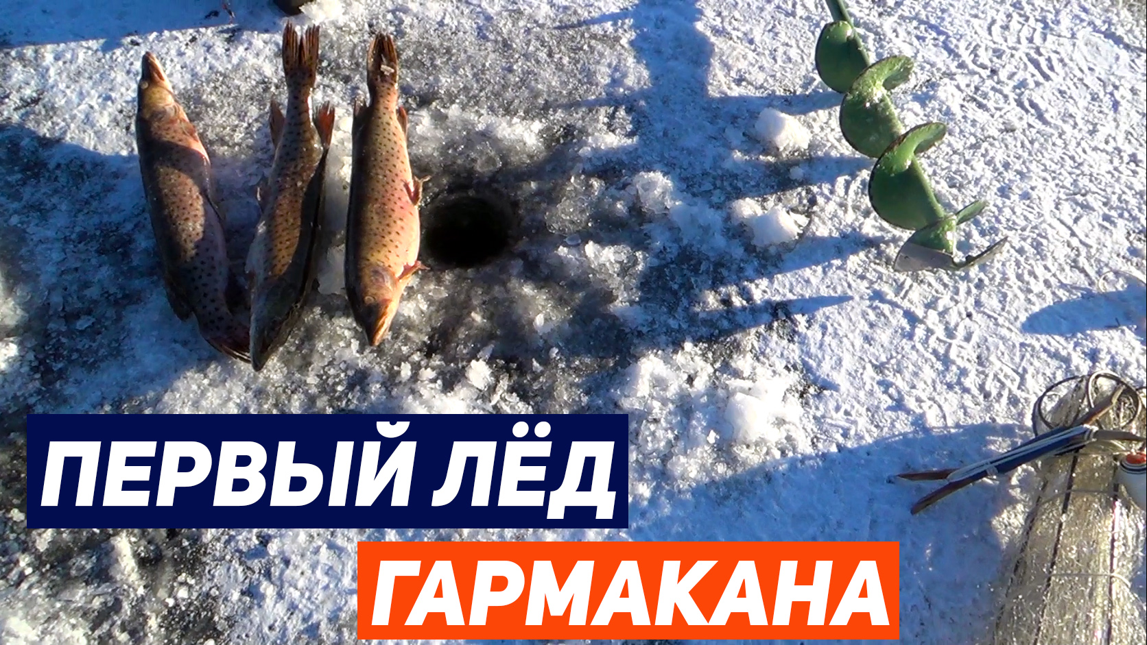 ПЕРВЫЙ ЛЁД ГАРМАКАНА 2023-2024 | МОРМЫШКА, БАЛАНСИР, ХАПУГА | ЗИМНЯЯ РЫБАЛКА ✔️ смотреть онлайн