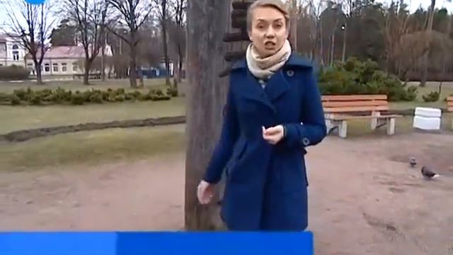 Спиленных корейских идолов из Сосновки спешно утилизировали - Красимир Врански смотреть онлайн
