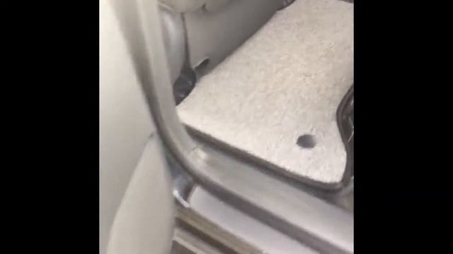 Видео от покупателя 3D ковриков Bark на автомобиль Toyota Prado 120 смотреть онлайн