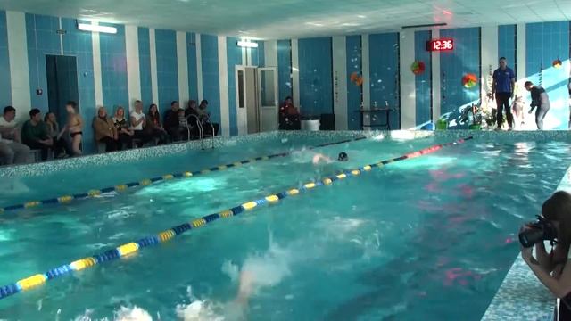 Дельфин Соревнования 19 11 2016 смотреть онлайн