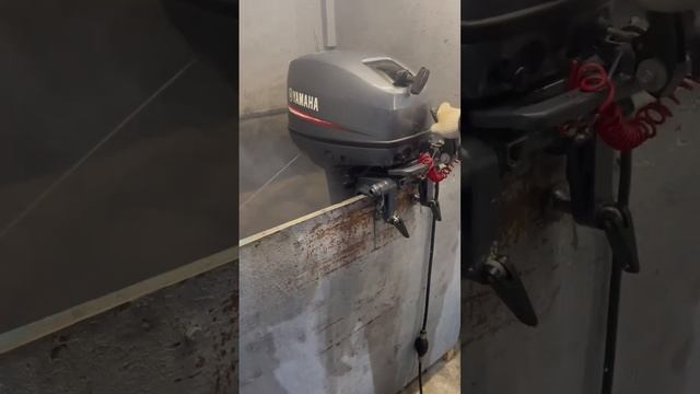 Лодочные моторы Yamaha. Продажа и доставка в РФ смотреть онлайн