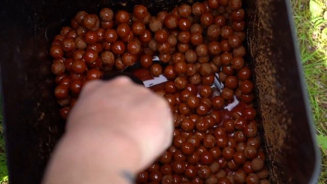 Mark Pitcher's Pacific Tuna Baiting Tactic ?? смотреть онлайн