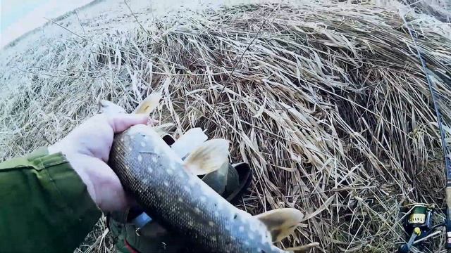 Ловля щуки весной на спиннинг Рыбалка в Ленинградской области смотреть онлайн