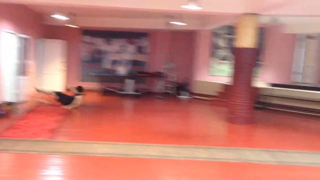 contactless battle#pankration#mma#buryatia#ulan-ude смотреть онлайн