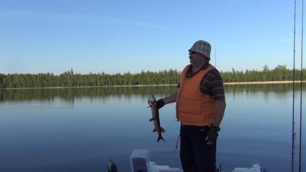 Плюсы и минусы воблера Lucky Craft Live Flash Minnow