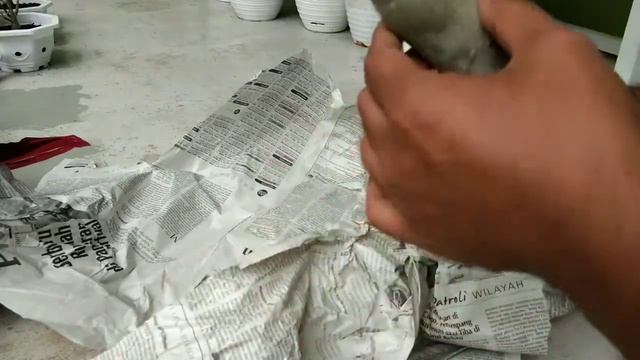 menanam adenium смотреть онлайн