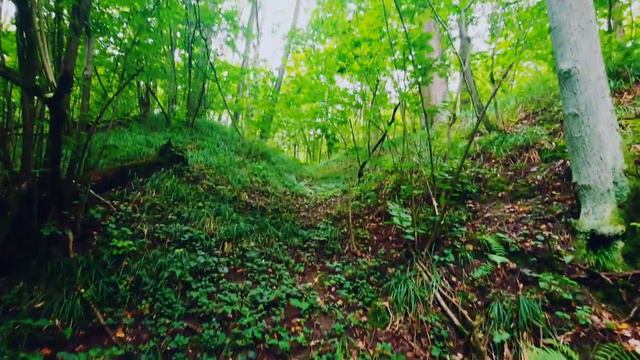 Cross Country по оврагу))) Очень мрачно))