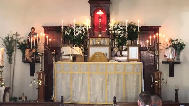 Live Traditional Latin Mass 17 April 2022 @St Anne’s - EASTER SUNDAY смотреть онлайн