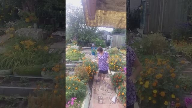 две подружки(пенсионерки) одна поёт другая танцует, третий составил пару??? смотреть онлайн