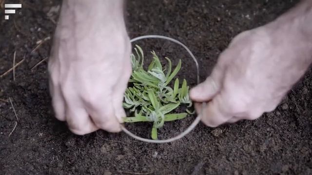 Awesome Tools Gadgets For House and Garden You Must Have To Buy on Amazon смотреть онлайн