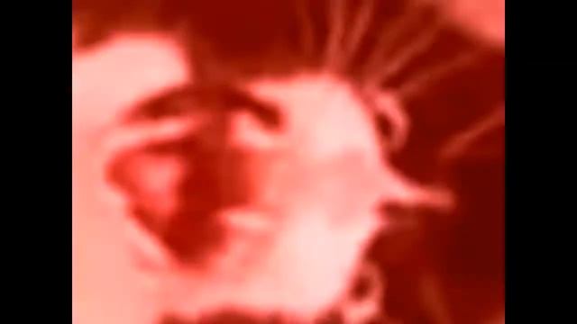 КОТ ОРЕТ НА ВСЮ УЛИЦУ смотреть онлайн