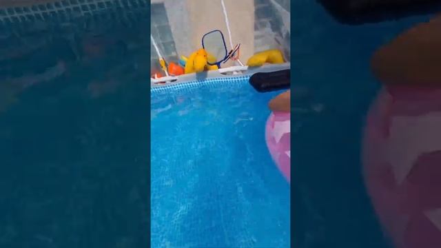 Бассейн INTEX, Купол на бассейн. Лето 2022