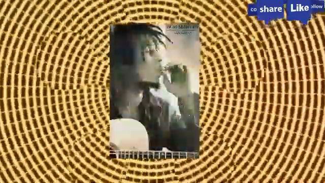 Harmonica-Bob marley/Buffalo soldier jamaican song(harmonica&bass cover)-Nj смотреть онлайн