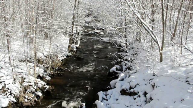 Геннадій Деснянський - "Здивована Десна" (by Michael Nazarkovsky) смотреть онлайн
