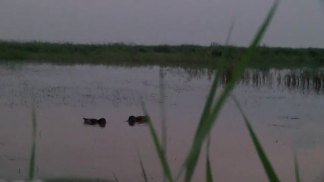 Открытие охоты 2015 "Ни пуха-ни пера" часть 1 смотреть онлайн