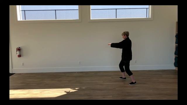 108 Yang Style Tai Chi Chuan