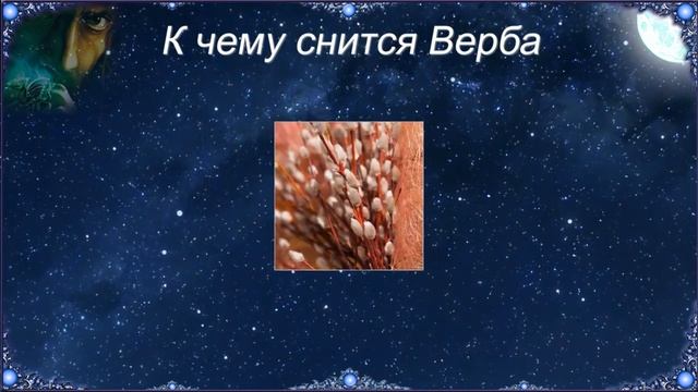 К чему снится Верба (Сонник) смотреть онлайн