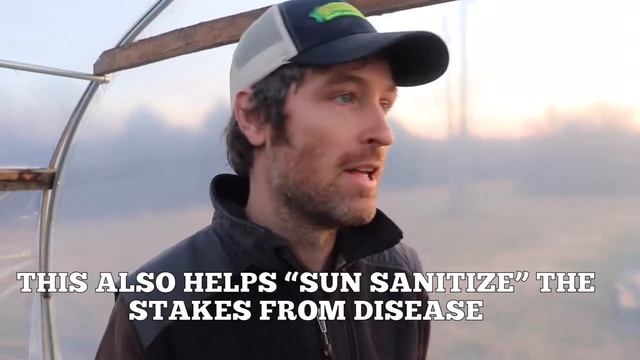 HOW TO WEED WITH TARPS. смотреть онлайн