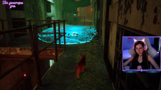 Полное прохождение Stray stream 29.07.2022. Финал. Stray обзор. смотреть онлайн