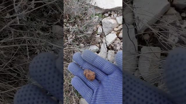 Chasse au trésor - une pierre métallique très dense смотреть онлайн