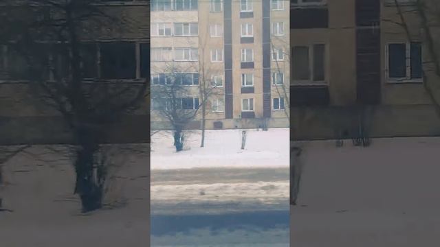 город.гатчина. смотреть онлайн