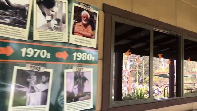 Australian Reptile Park - Top Section смотреть онлайн