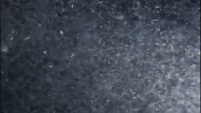 25 - Одиссея Жака Кусто - Киты и кашалоты смотреть онлайн