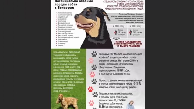 Закон о Бездомных Собаках!