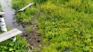 Велосипед RUSH HOUR RX705 Нубовский отзыв