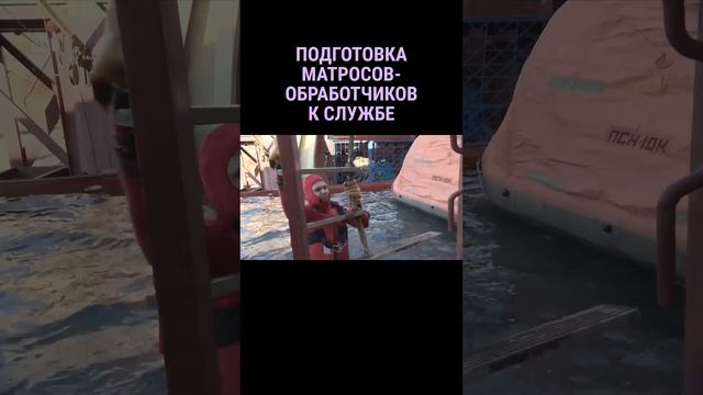 Подготовка матросов-обработчиков к cлужбе на плавбазе #shorts смотреть онлайн