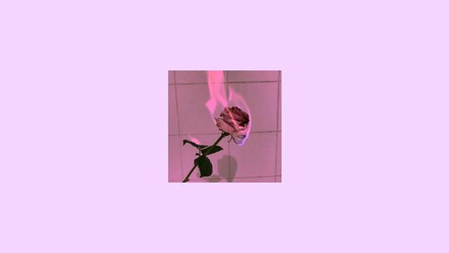 Czarny - Nie warta (prod. micco.) смотреть онлайн