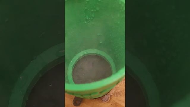 Aeroponics - Grow with Thunder Tube! смотреть онлайн