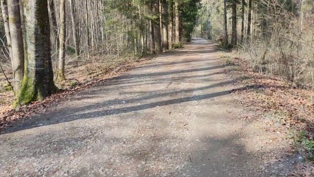 Швейцария, беженцы, как переехать, статус S смотреть онлайн