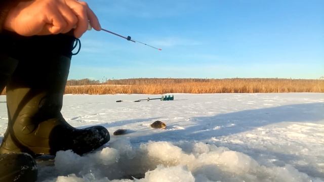 рыбалка на Шершневском водохронилище2021 смотреть онлайн