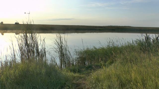 Panasonic HC-X810 sample footage смотреть онлайн