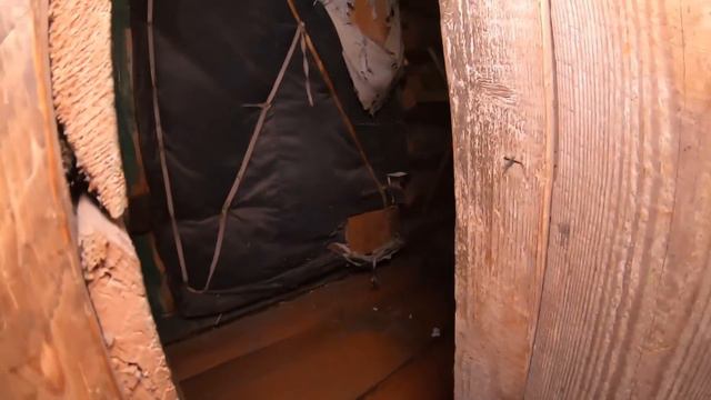 КУДА ДЕЛСЯ ДОМОВОЙ?WHERE DID THE BROWNIE GO? смотреть онлайн