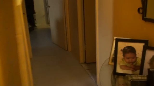 CREST AUDIO AND QSC SYSTEMS смотреть онлайн