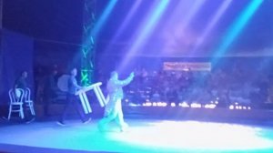 Цирк «Арена Ягуар» с 17 июня по 16 июля