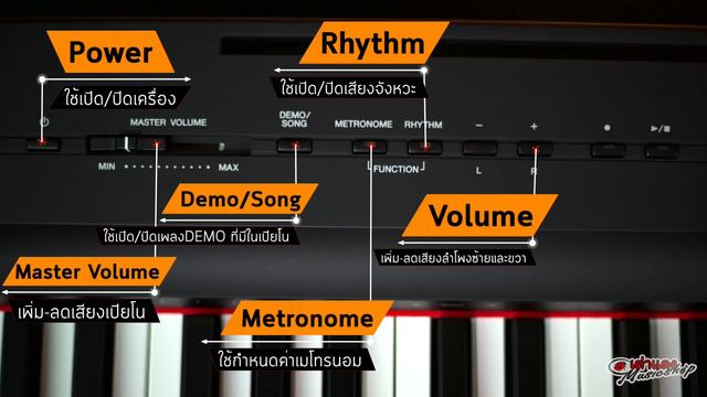 รีวิว 🎹 Piano ไฟฟ้า Yamaha P125 - 88 Keys ยอดขายอันดับ 1 ของ Yamaha l เปียโนไฟฟ้า l เต่าแดง смотреть онлайн
