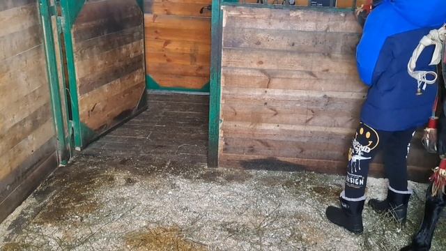 Откатали последний новогодний день. смотреть онлайн