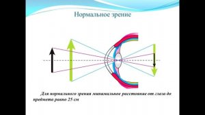 Тема 31. Глаз как оптическая система. Дефекты зрения. Очки