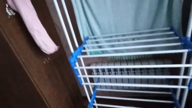 САМАЯ ПРОЧНАЯ И ЛУЧШАЯ СУШИЛКА ДЛЯ БЕЛЬЯ. смотреть онлайн