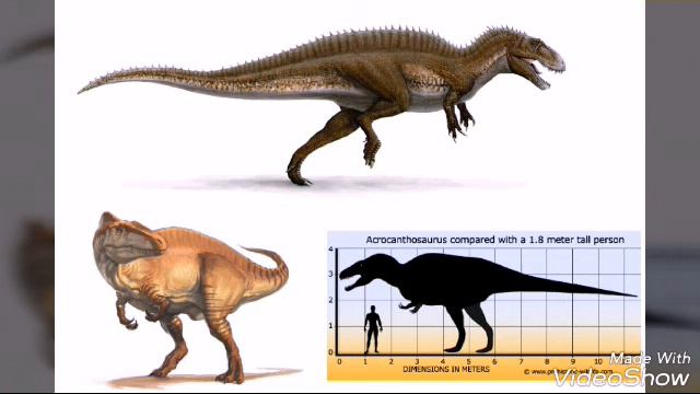 Топ-5 самых больших хищных динозавров