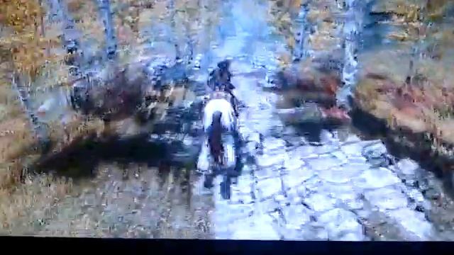 Skyrim~Fort DawnGuard & Restoration Glitch смотреть онлайн