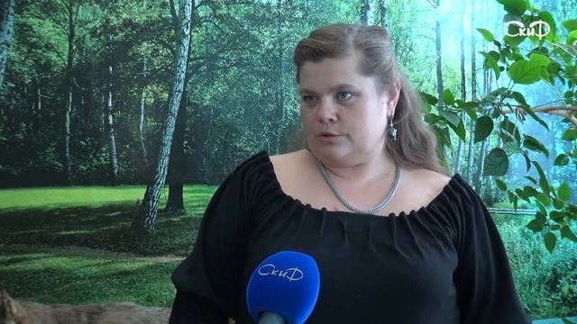 Поход смотреть онлайн