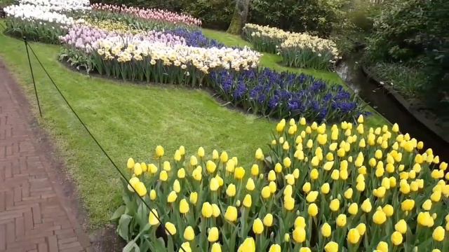 Парк тюльпанов. КЁКЕНХОФ (Keukenhof). НИДЕРЛАНДЫ.
